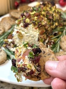 10-Minute Holiday Boursin Cheese Dip Log (Easy Festive Appetizer)