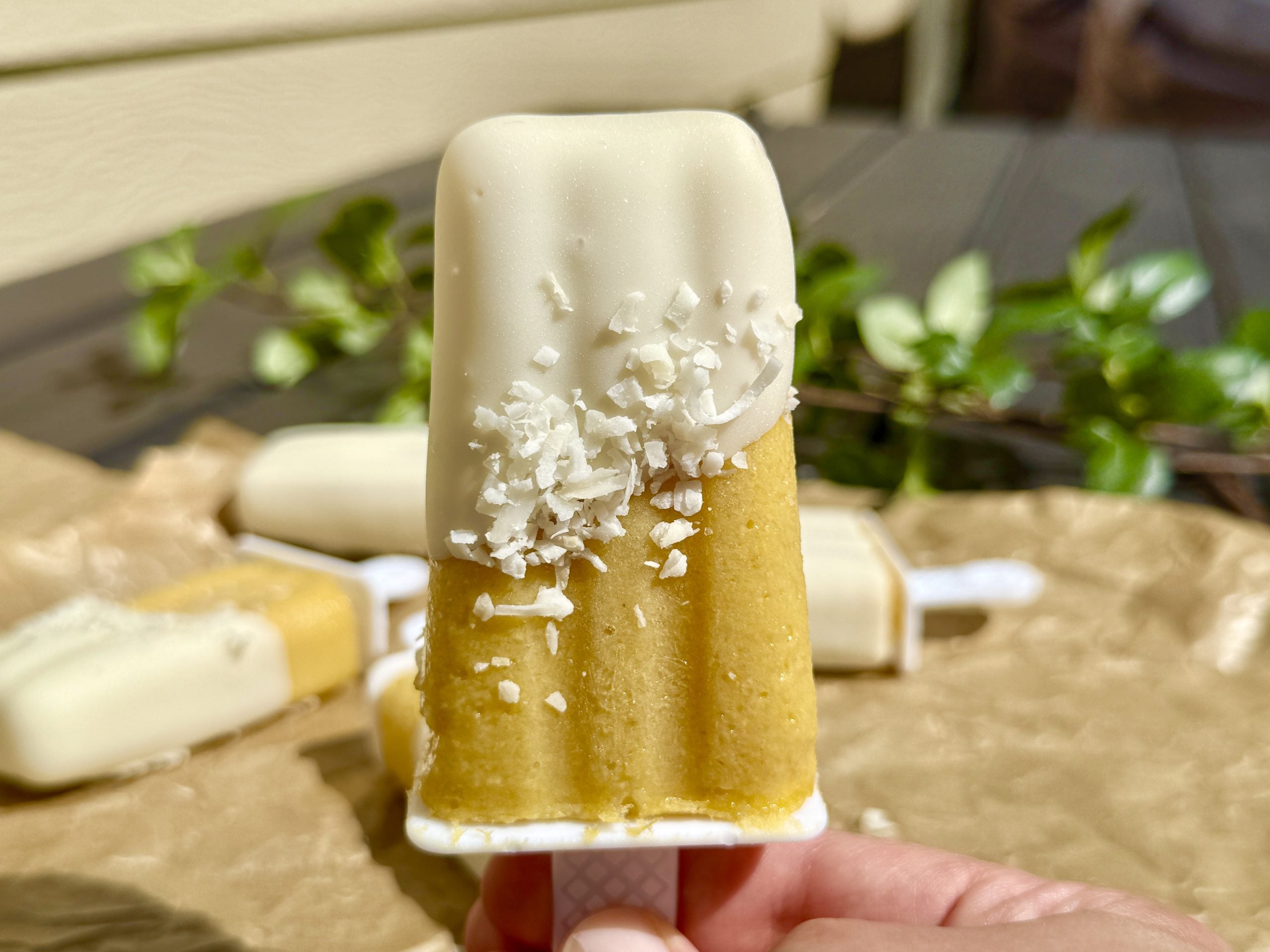 A hand holds a two-toned popsicle with a white top half and yellow bottom half, topped with shredded coconut, outdoors with more popsicles and greenery in the blurred background.