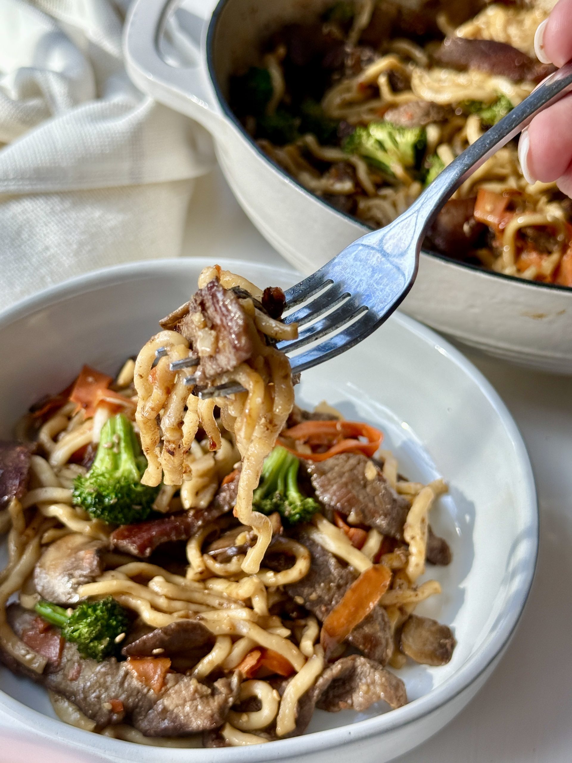 A bowl of stir-fried noodles with beef, broccoli, and carrots is shown. A fork lifts a bite-sized portion of noodles and beef above the bowl, with a pot of more stir-fry in the background.