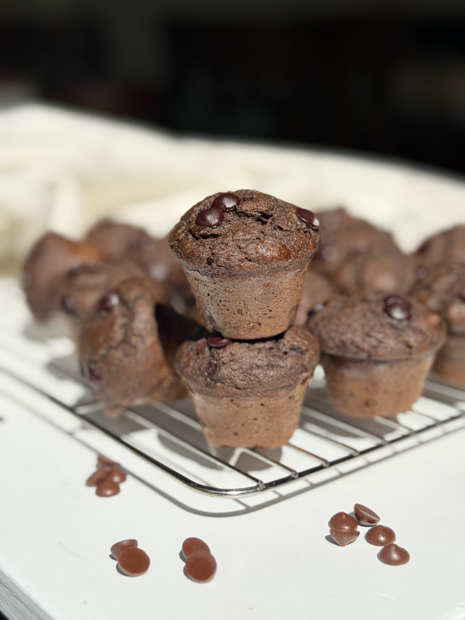 Chocolate muffins arranged on a baking tray wrack