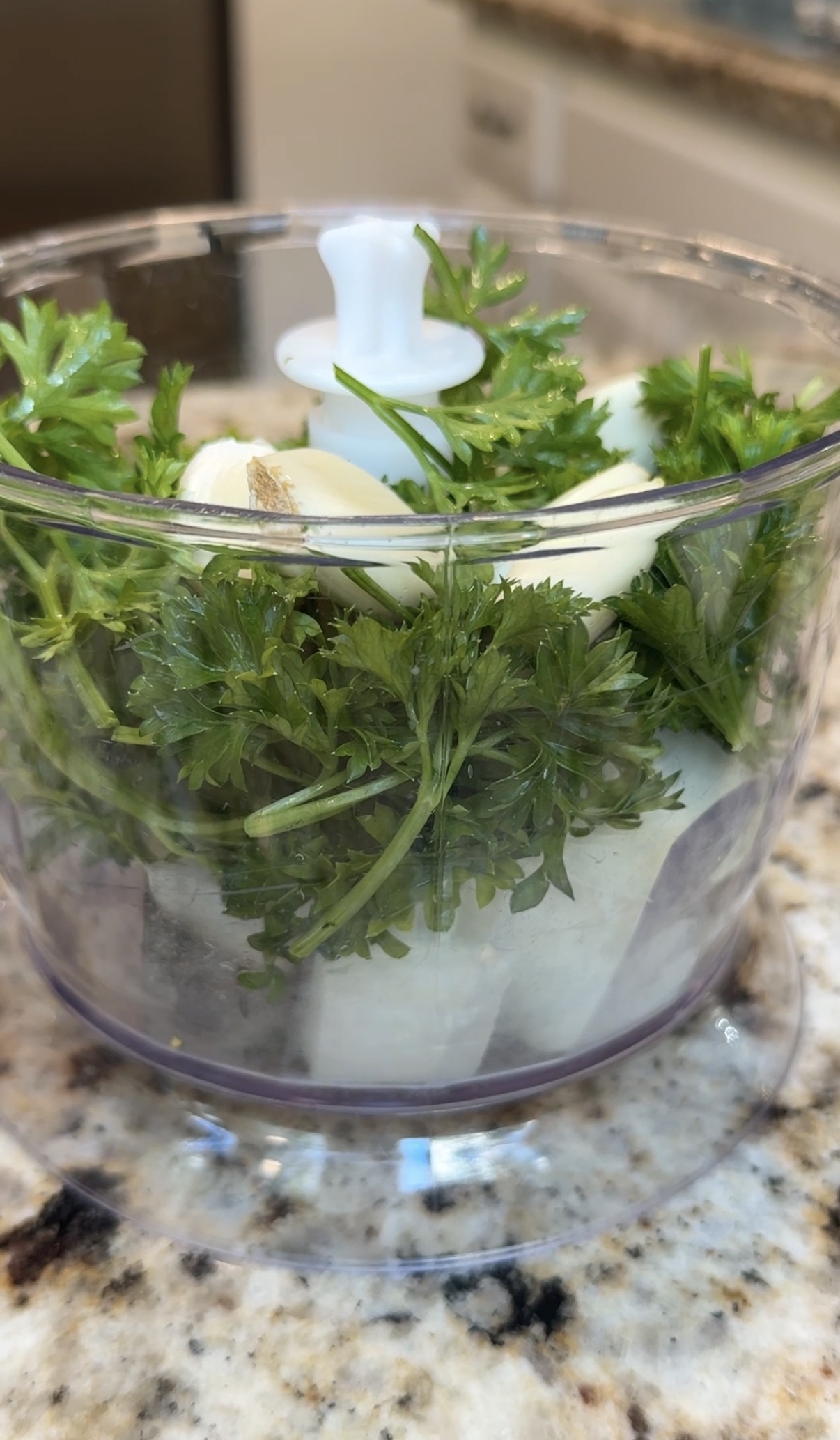 Food processor with onion, parsley and garlic cloves