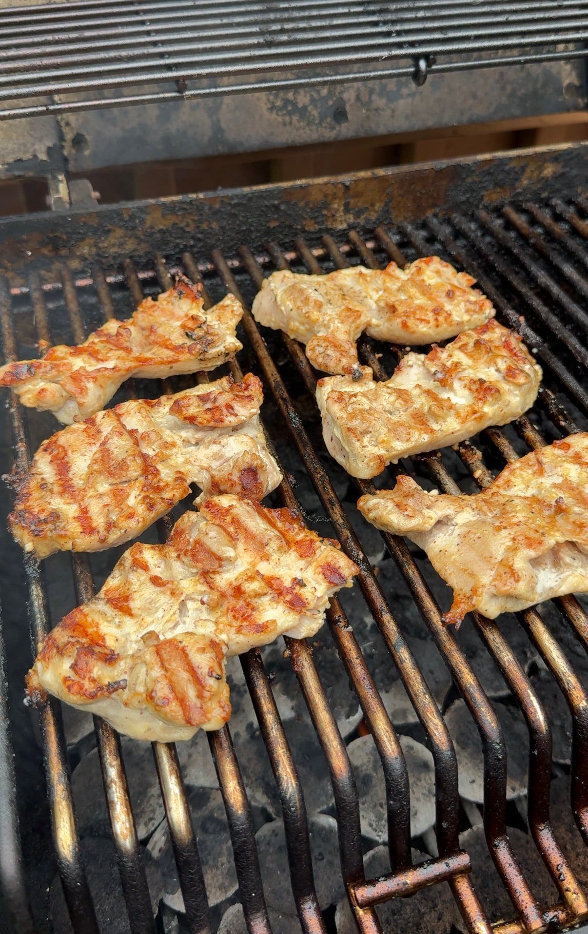 Chicken pieces cooking on a grill, showing grill marks on the meat.