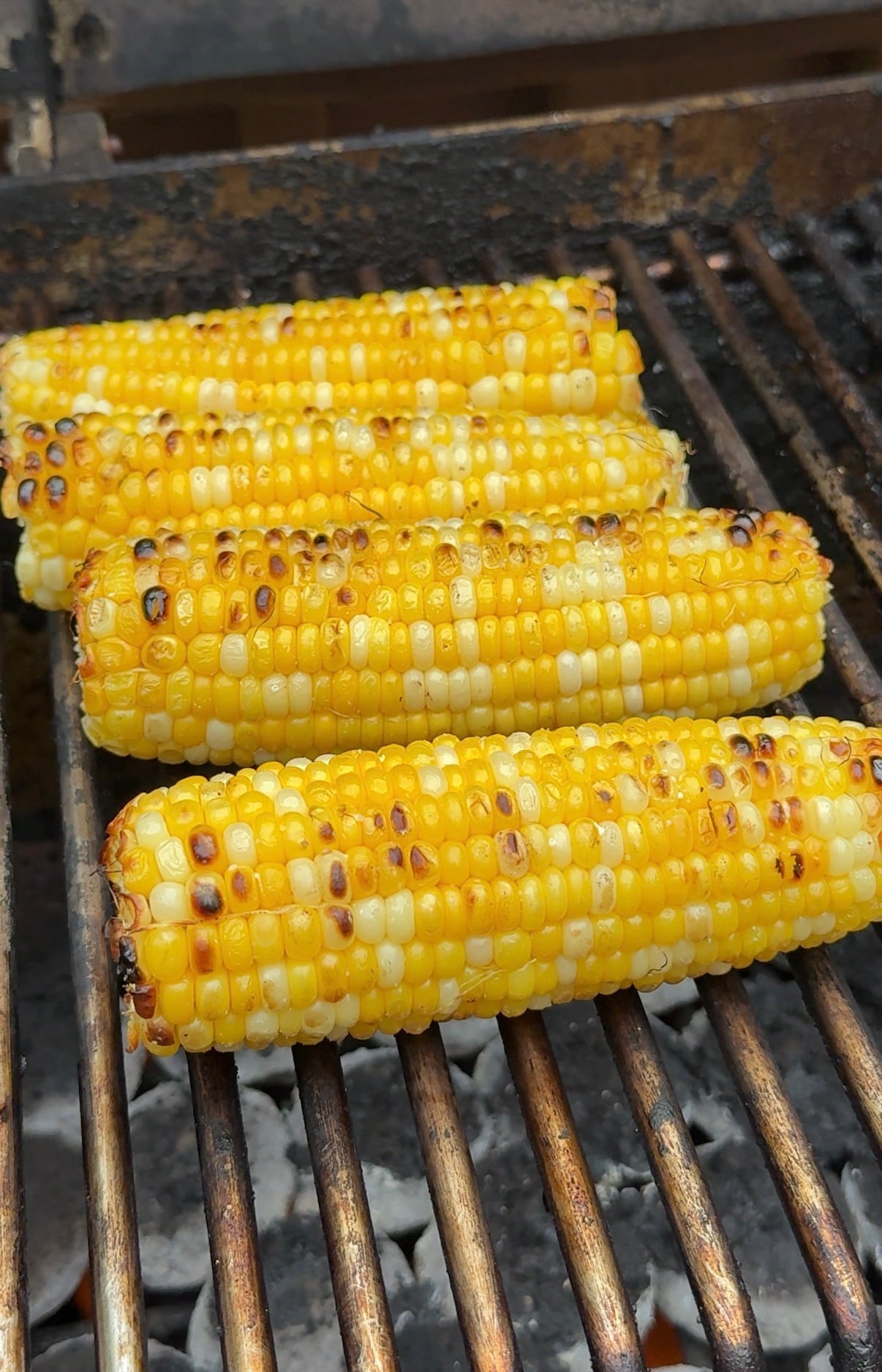 Grilled corn on top of the grill