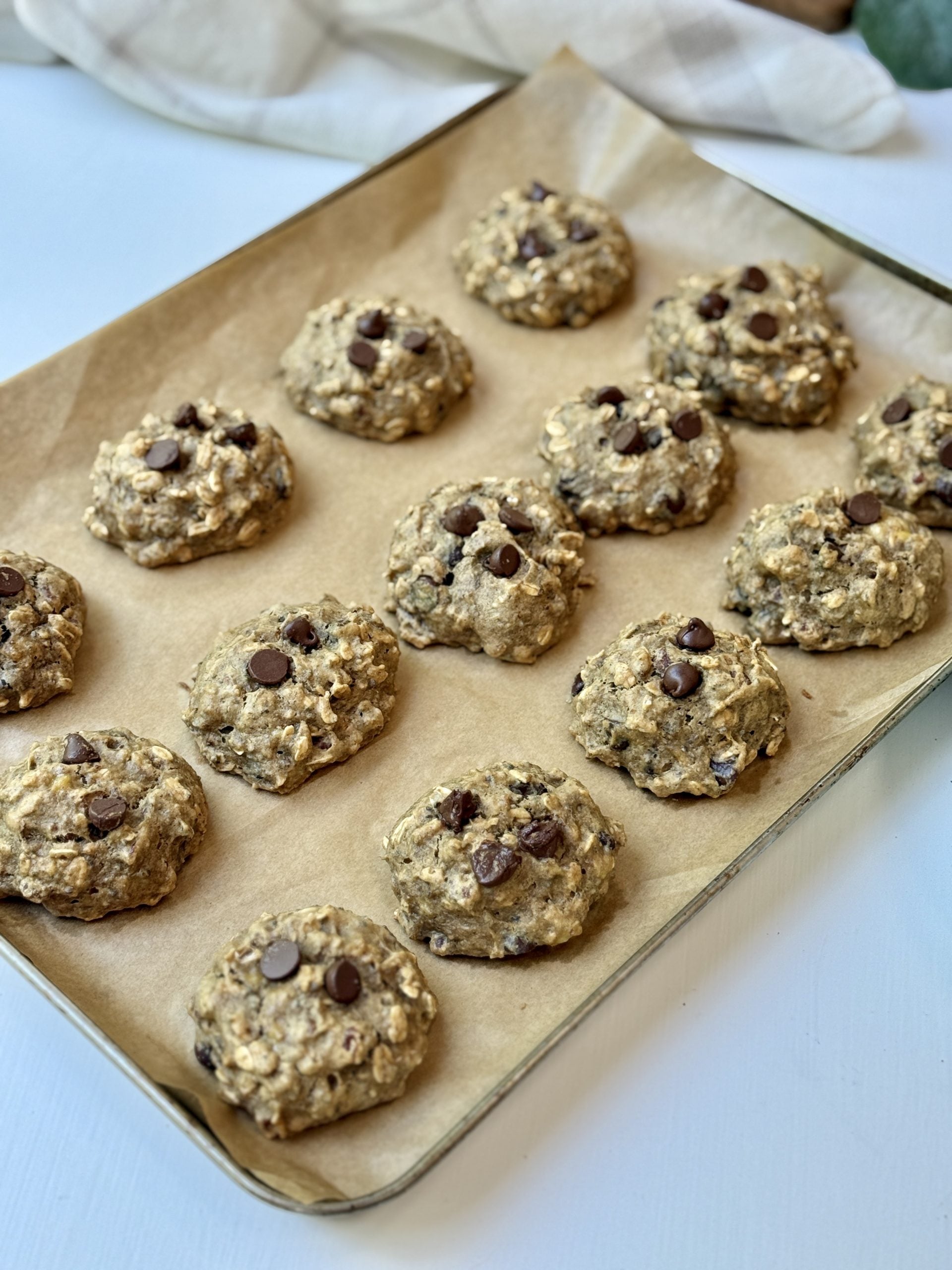 A baking sheet lined with parchment paper holds freshly baked oatmeal chocolate chip cookies, arranged in rows and topped with chocolate chips.