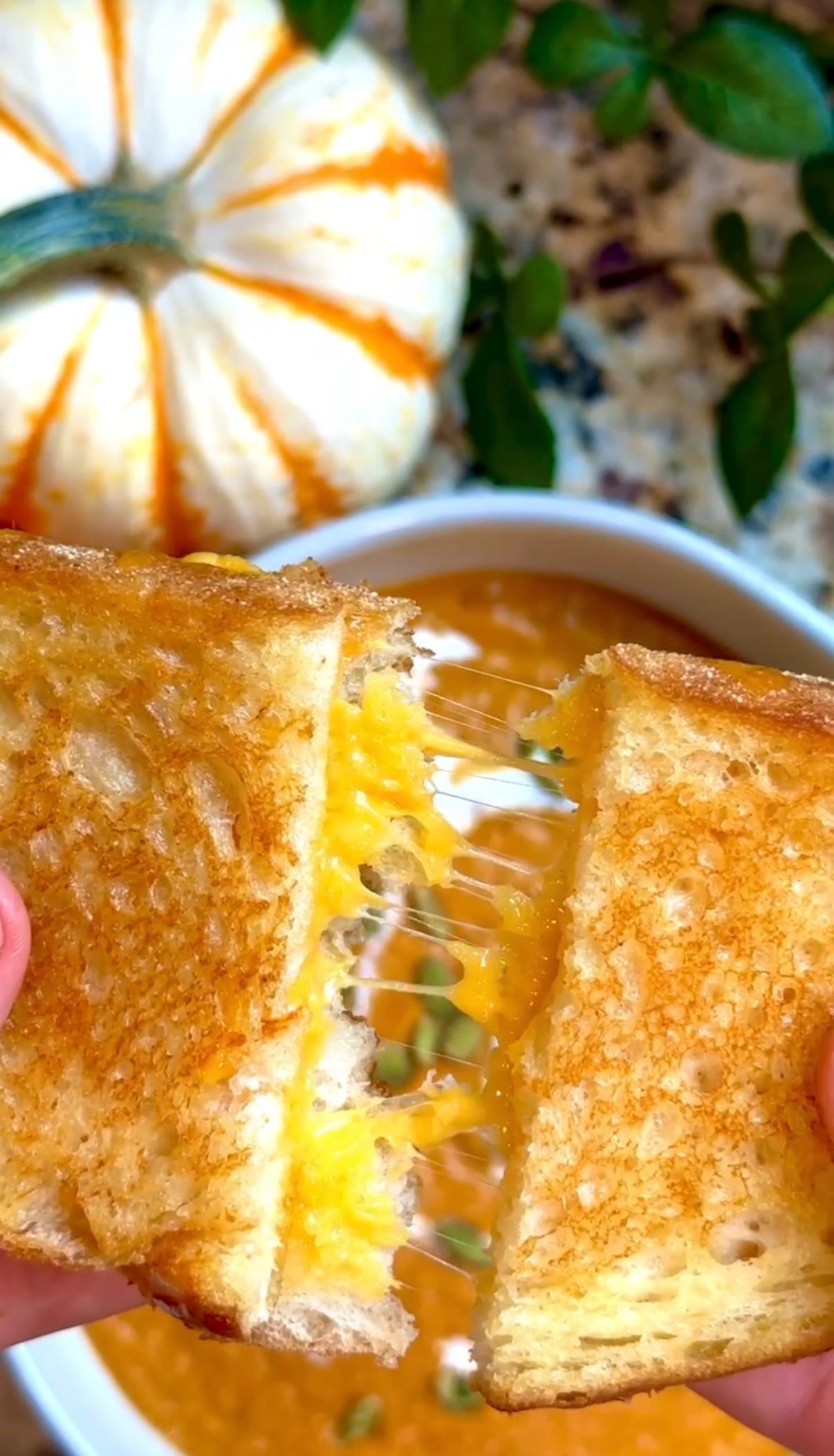 Hands pull apart a grilled cheese sandwich with melted cheese stretching, above a bowl of soup. A small white and orange pumpkin is visible in the background.